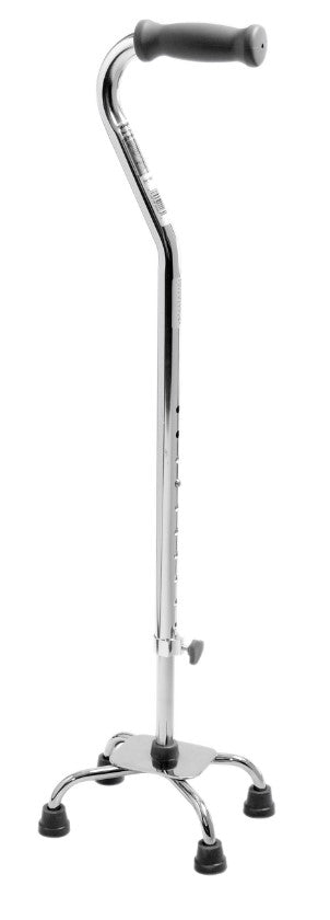 Quad Cane (Case)