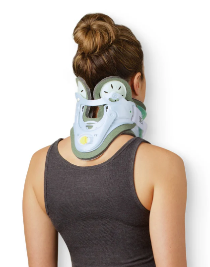 Vista Multipost Collar